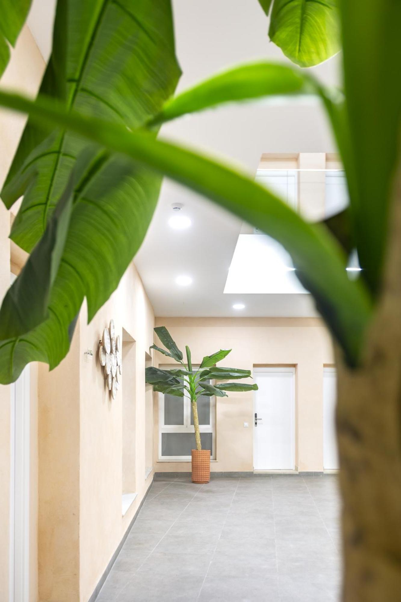 Apartamentos La Tahona Cádiz Eksteriør bilde